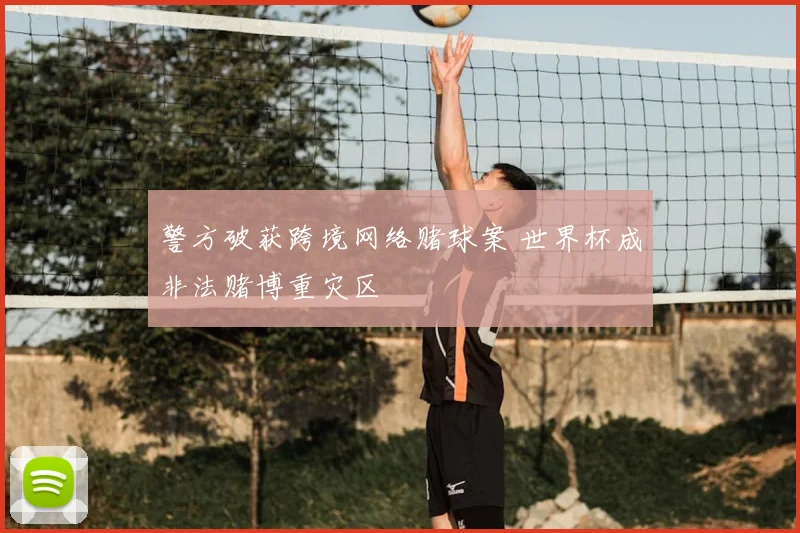 警方破获跨境网络赌球案 世界杯成非法赌博重灾区