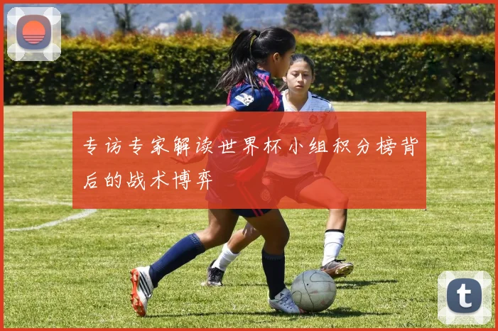 专访专家解读世界杯小组积分榜背后的战术博弈