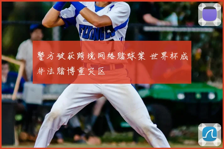 警方破获跨境网络赌球案 世界杯成非法赌博重灾区