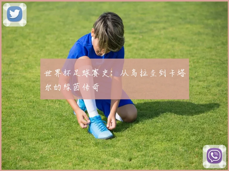 世界杯足球赛史：从乌拉圭到卡塔尔的绿茵传奇