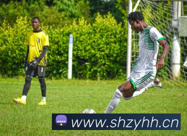 云开体育app官网入口登录网页版APP 封面图