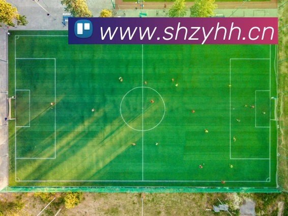 数据防护可视化